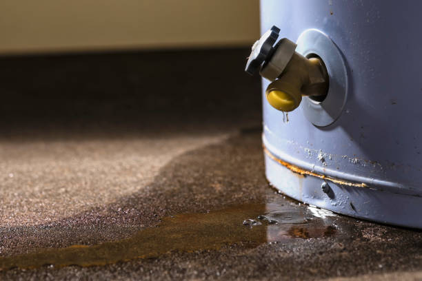 Best Water damage contractors near me  in Harmony Grove, CA