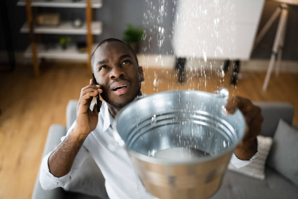 Best 24/7 water damage repair  in Harmony Grove, CA