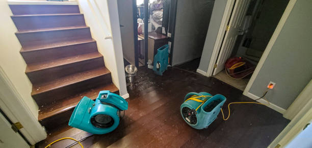 Harmony Grove, CA Water damage restoration Company