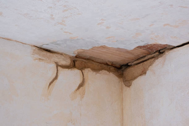 Best Commercial water damage restoration  in Harmony Grove, CA