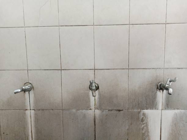 Water damage restoration mold remediation in Harmony Grove, CA
